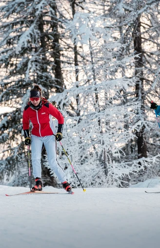 Schnee, Berge, Wald, Loipen, Langläufer/In