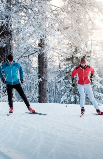 Präparierte Loipe, Wald, Schnee, Langläufer/In