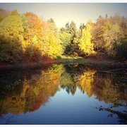 Erlenloch im Herbst