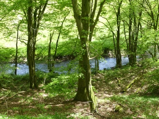 Urfftal bei Bergfreiheit im Frühjahr
