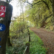 Kellerwald- und Urwaldsteig
