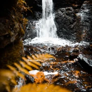 Rissfälle im Herbst