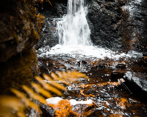 Rissfälle im Herbst