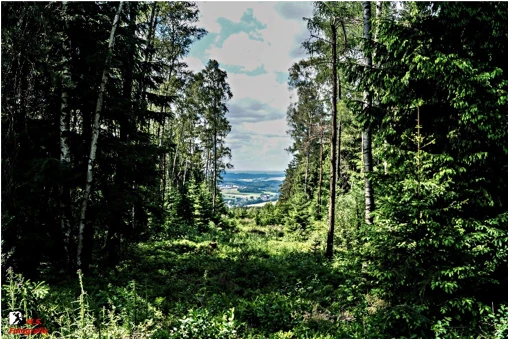Blick vom Hirschenstein auf das Kirchberger Granitgebiet