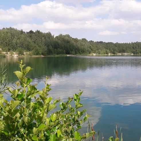 Geflutetes Tagebaurestloch Frieden