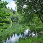 Stauweiher Ellefeld