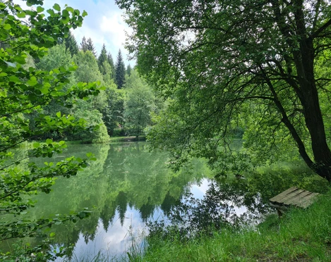 Stauweiher Ellefeld