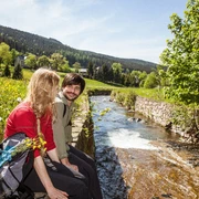 Am Pöhlwasser in Rittersgrün