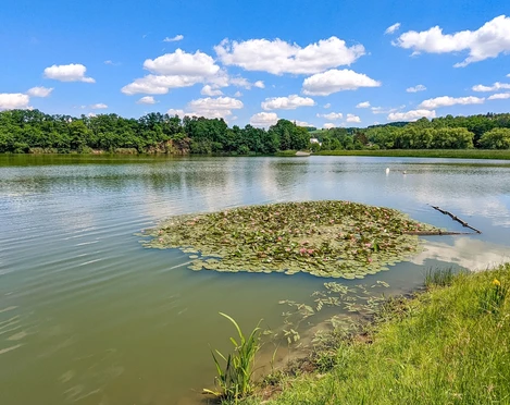 Talsperre Greiz-Dölau