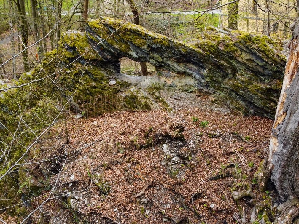Die Waldbrücke - ein Geotop im Ellefelder Park