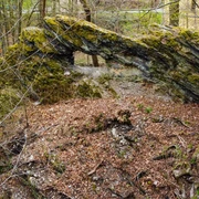 Die Waldbrücke - ein Geotop im Ellefelder Park