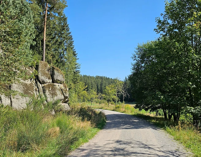 Jungfernsprung im Zinsbachtal bei Grünheide