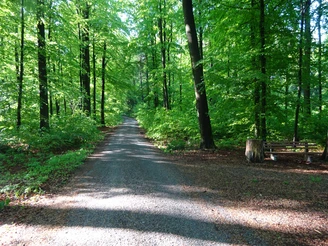 Karswald