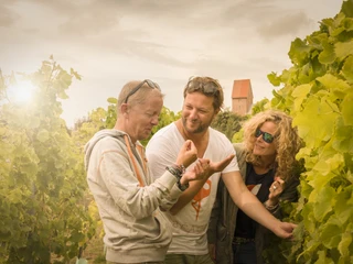 Im Weinberg_c_Wolfgang Köhler.jpg