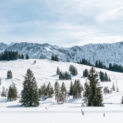 Traumhafte Aussicht auf die Brienzer-Rothorn-Kette