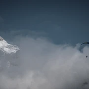 Rollibocktrophy 2024 Rollibocktrophy 2024