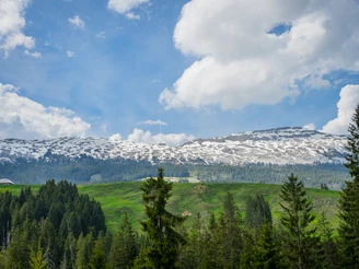 Die eindrückliche Schrattenfluh