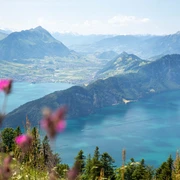 Der Blick auf den Vierwaldstättersee ist atemberaubend