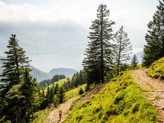 Der Seeweg ist zwar steil, die Aussicht dafür top