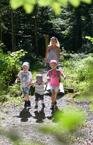 Emmenuferweg, Etappe Sörenberg-Schüpfheim