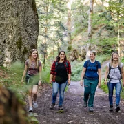 Lauschige Wälder spenden Schatten an heissen Sommertagen.