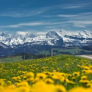 Im Frühling herrscht eine unglaublich schöne Stimmung auf dem Höhenweg zwischen Entlebuch und Emmental.