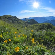 Isenthal -Klewenalp, kurz vor Hinterjochli