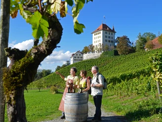 Weindegustation beim Weingut Heidegg
