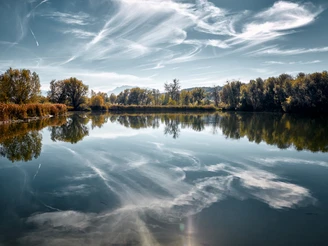 Baldeggersee