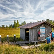 Plattform Erde & Moor beim Mettilimoos.