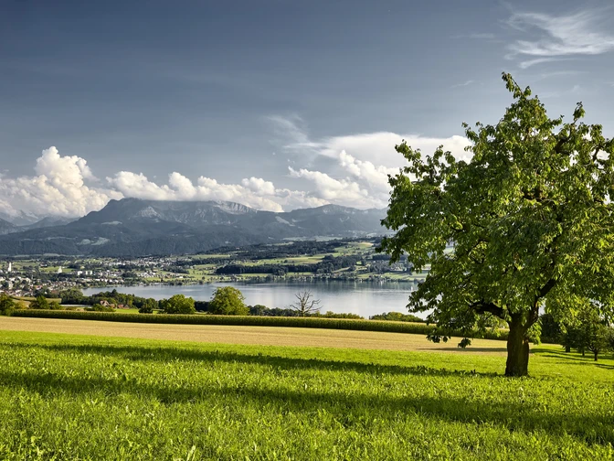Ausblick Sempachersee