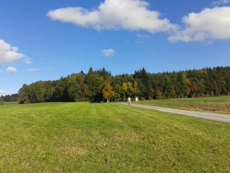 auf dem Horben