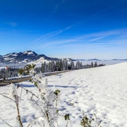 Winterwanderung Finsterwald