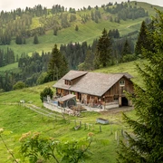Alp Trieb