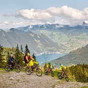Panoramabiketour mit Aufficht auf den Urnersee