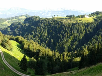 Zwischen Holzwegen und Goldsite, Blick Richtung Südenosten