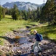 Grosser Moorrundweg auf der Rossweid, Sörenberg