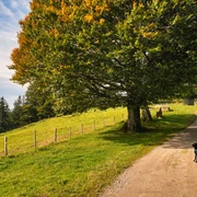 Kurze Rast auf der Krete