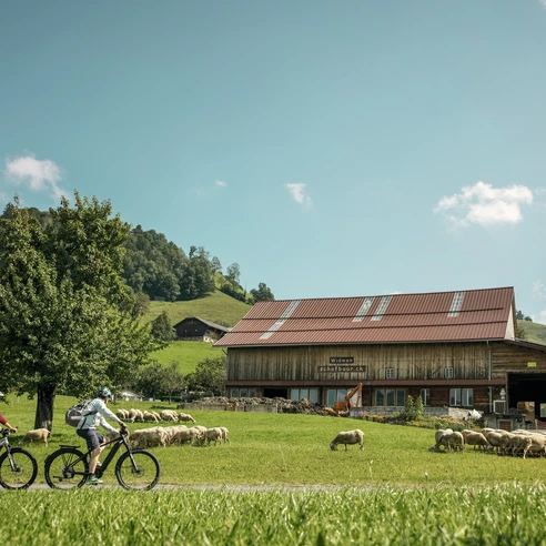 E-Biker auf Besuch bei der Emscha Schafmilchproduktion im Entlebuch.