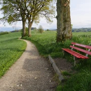 Vor Studenweid, im Hintergrund der Pilatus