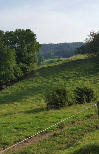 Weide Guggehübel