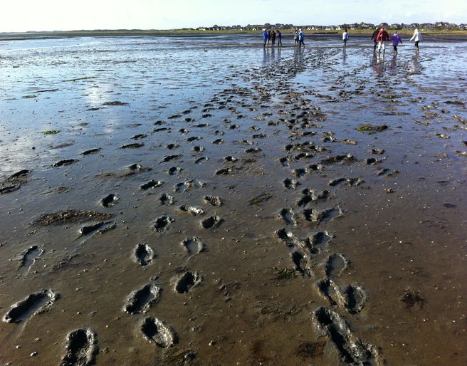 Fussspuren im Watt vor Rantum.JPG