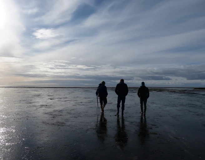 Wattwandern mit der Schutzstation Wattenmeer in Morsum_2.JPG