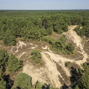 Stixer Wanderdüne Stixer WanderdüneStixer wandering duneDune mobile de StixStixer dwalend duinStixer vandrende klit