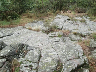 „Nationales Geotop“ Gletscherschliffe am Kleinen Berg Hohburg