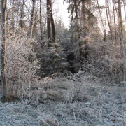 2025.12.28_Rauhnächte_Horst Leibrock_pixelio.de.jpg