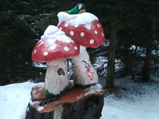 Fliegenpilze am Waldgeisterweg Winter