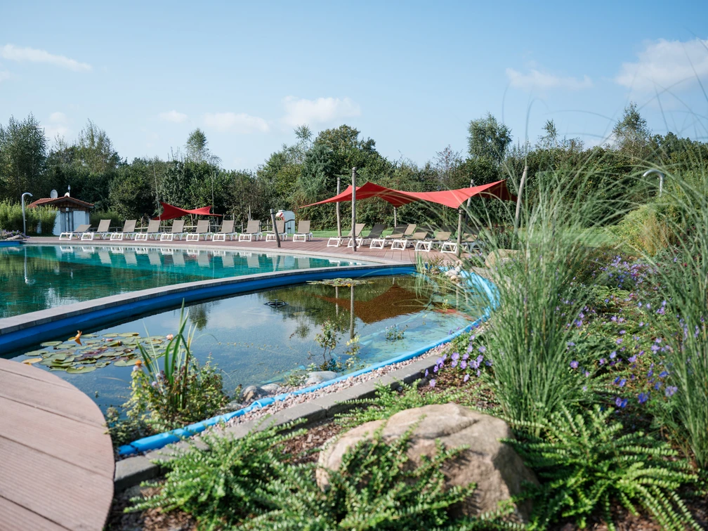 Schwimmteich Campingpark Südheide baden kann man im schwimmteich des campingplatzes südheide