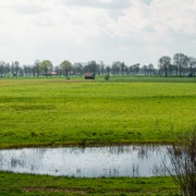 Eine weitläufige Moorlandschaft, im Vordergrund ein rundes Wasserbecken, dahinter Bäume und Felder.