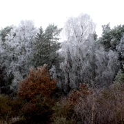2025.11.09_Winterspaziergangn_Heluecht_pixelio.de.jpg
